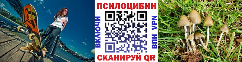 Галлюциногенные грибы Psilocybine cubensis Новый Оскол